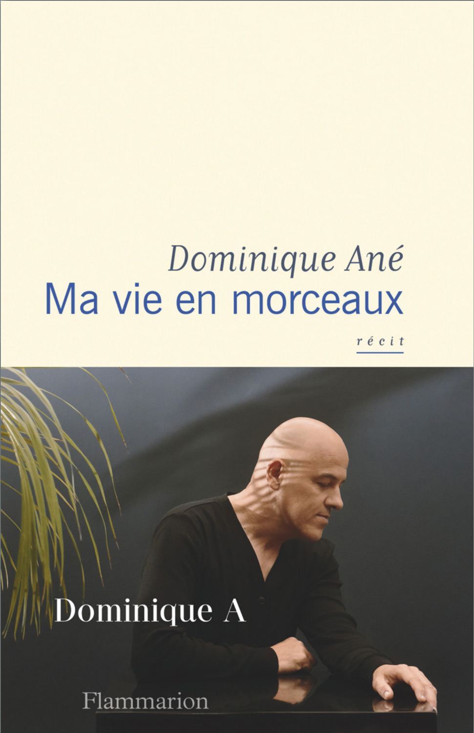 Dominique A - Ma vie en morceaux