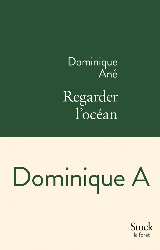 Dominique A - Regarder l'océan