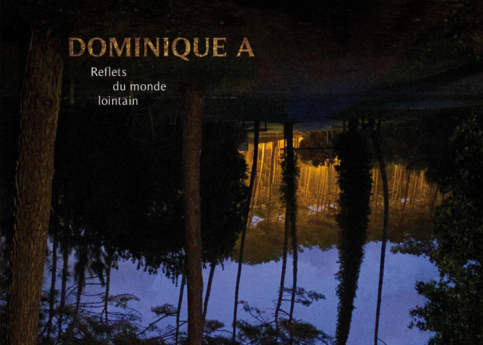 Dominique A - Reflets du Monde Lointain