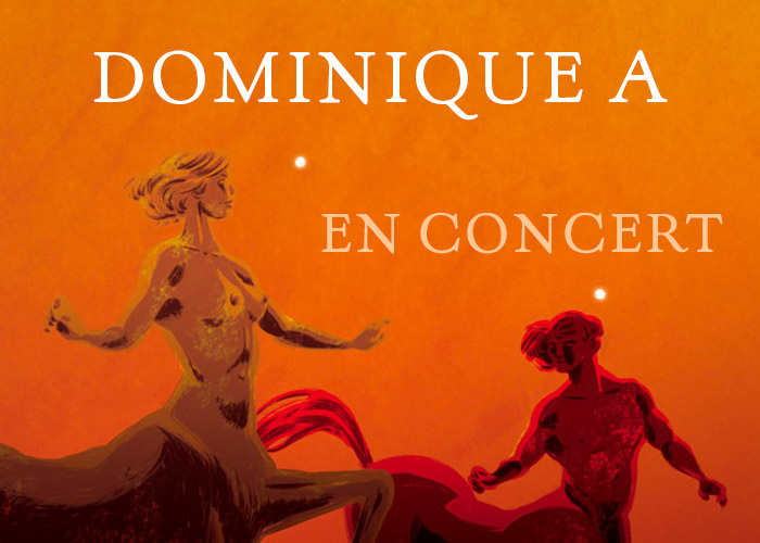 Dominique A en concert