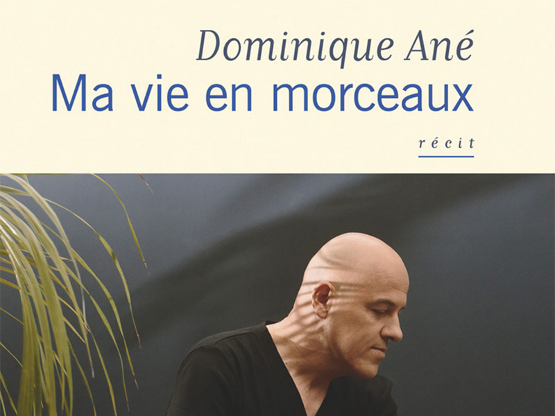 Dominique A - Ma vie en Morceaux