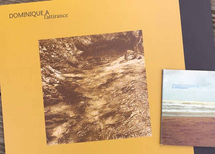 Dominique A - L'attirance