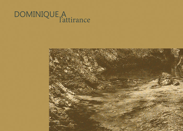 L’attirance Disquaire Day - Dominique A