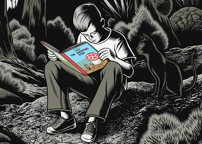 dominique A au festival d'Angoulême de BD 2020